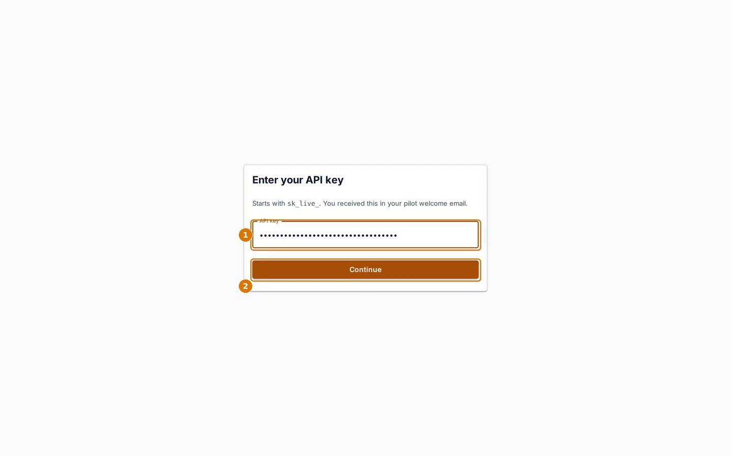 The API key step of the first run setup