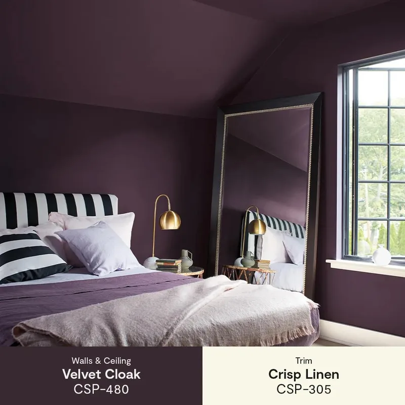 Waterborne Ceiling Paint N508